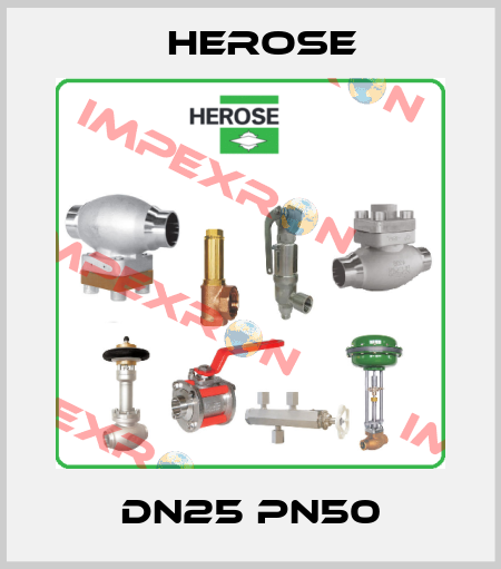 DN25 PN50 Herose