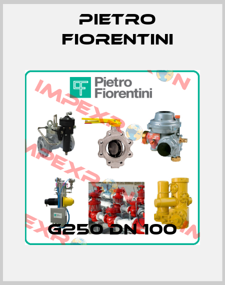  G250 DN 100 Pietro Fiorentini