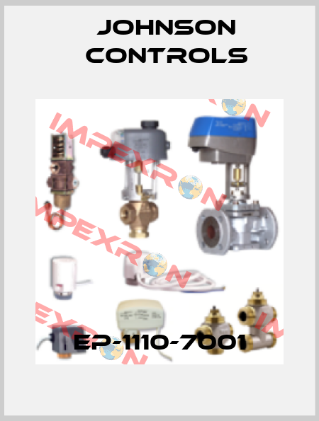 EP-1110-7001 Johnson Controls