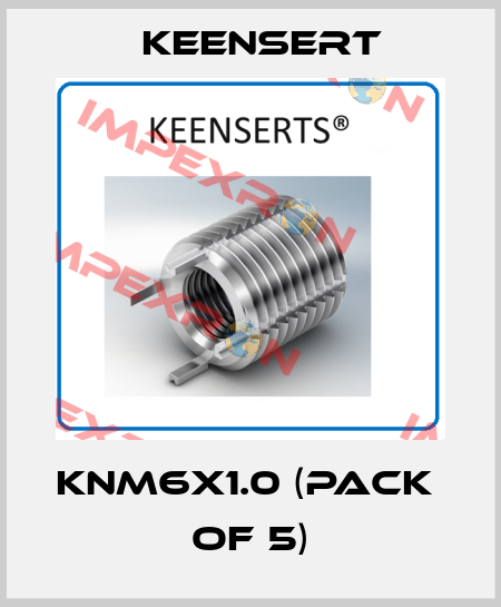 KNM6X1.0 (pack  of 5) Keensert