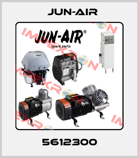 5612300 Jun-Air