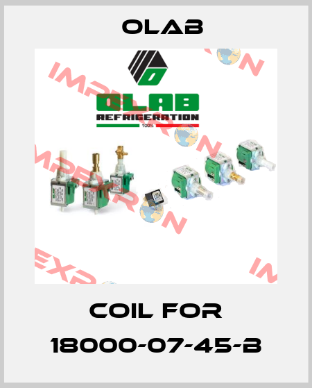 coil for 18000-07-45-B Olab