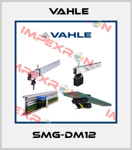 SMG-DM12  Vahle