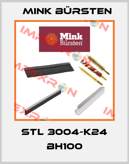 STL 3004-K24 BH100 Mink Bürsten