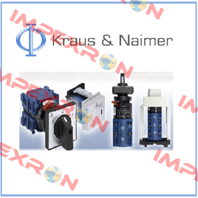 D11BA175-600ETSIG501 Kraus & Naimer