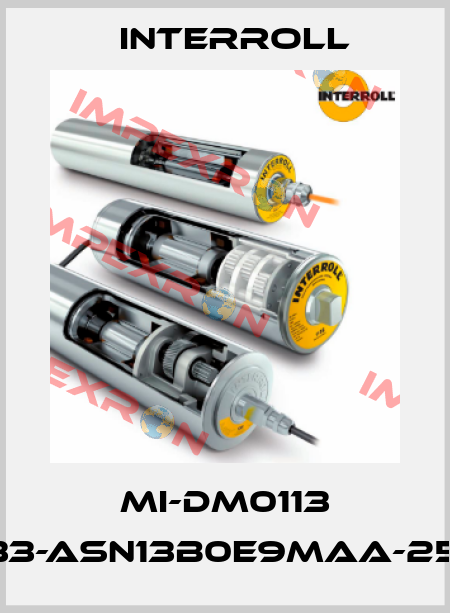 MI-DM0113 DM1133-ASN13B0E9MAA-257mm Interroll