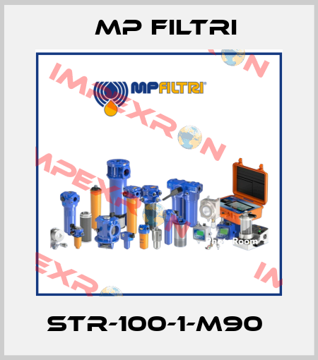 STR-100-1-M90  MP Filtri