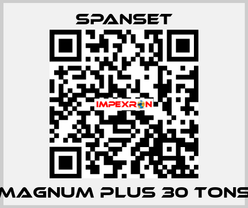 magnum plus 30 tons SpanSet