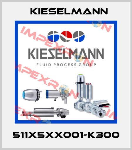 511X5XX001-K300 Kieselmann