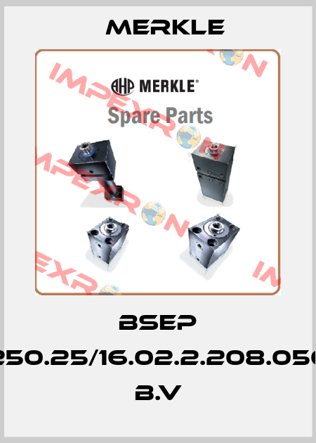 BSEP 250.25/16.02.2.208.050 B.V Merkle