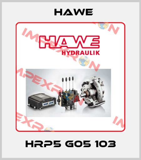 HRP5 G05 103 Hawe