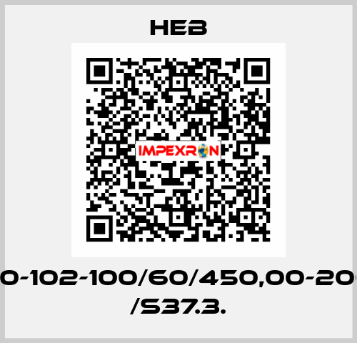 Z250-102-100/60/450,00-206/B1 /S37.3. HEB