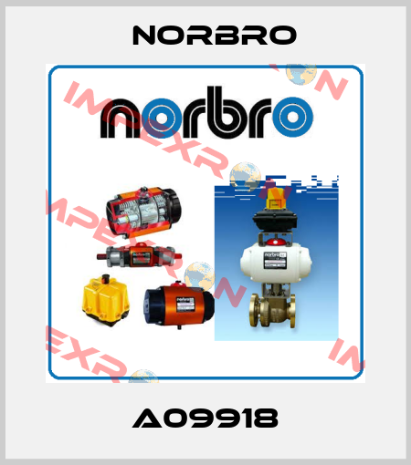 A09918 Norbro