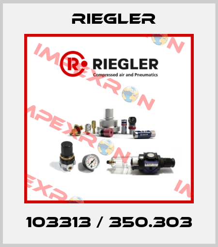 103313 / 350.303 Riegler
