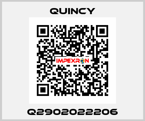 Q2902022206 Quincy