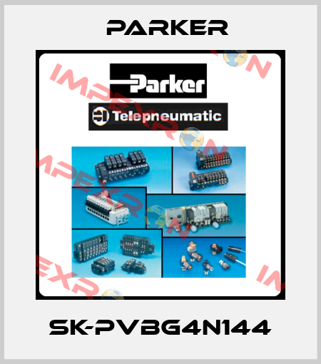 SK-PVBG4N144 Parker