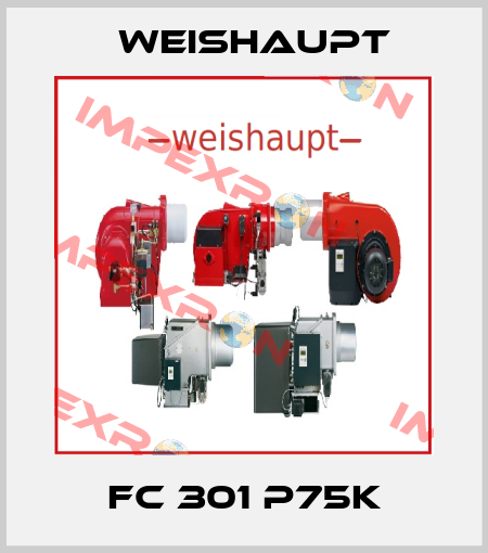 FC 301 P75K Weishaupt