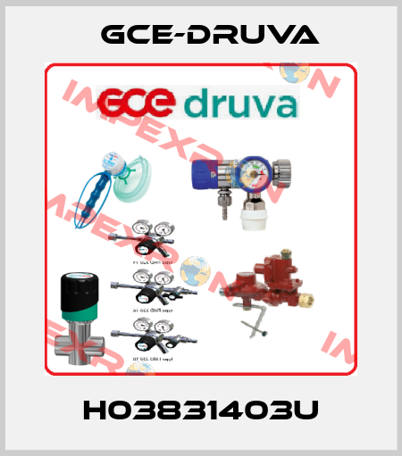 H03831403U Gce-Druva