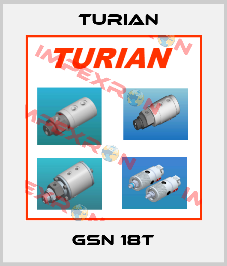 GSN 18T Turian