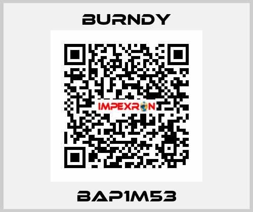 BAP1M53 Burndy