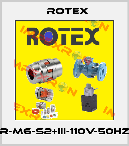 30301-1.6-2R-M6-S2+III-110V-50HZ-37-LD-H-01 Rotex