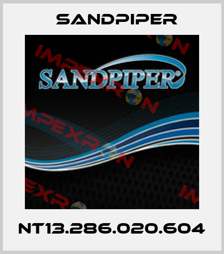 NT13.286.020.604 Sandpiper