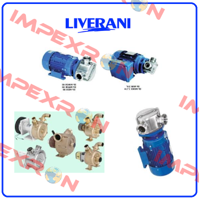 10169600 Liverani