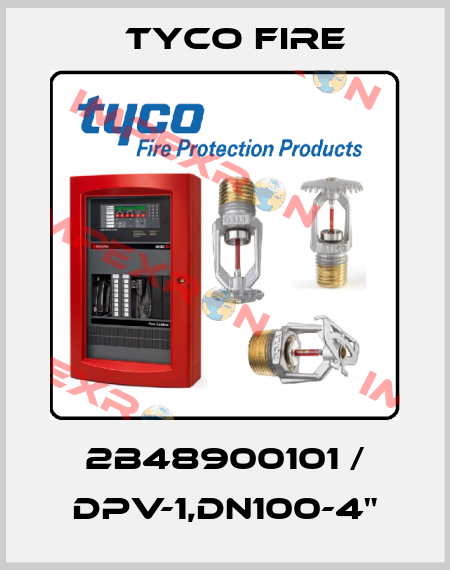2B48900101 / DPV-1,DN100-4" Tyco Fire