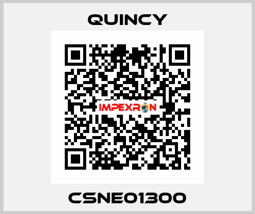 CSNE01300 Quincy
