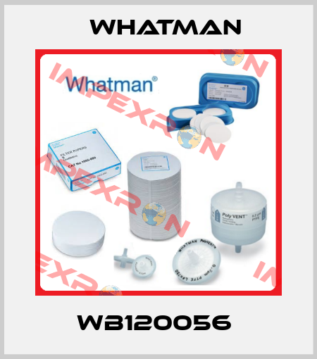 WB120056  Whatman