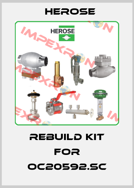 rebuild kit for OC20592.SC Herose