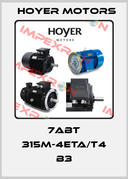 7ABT 315M-4ETA/T4 B3 Hoyer Motors