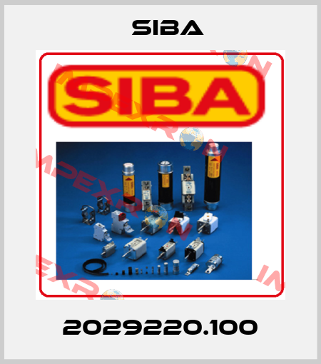 2029220.100 Siba