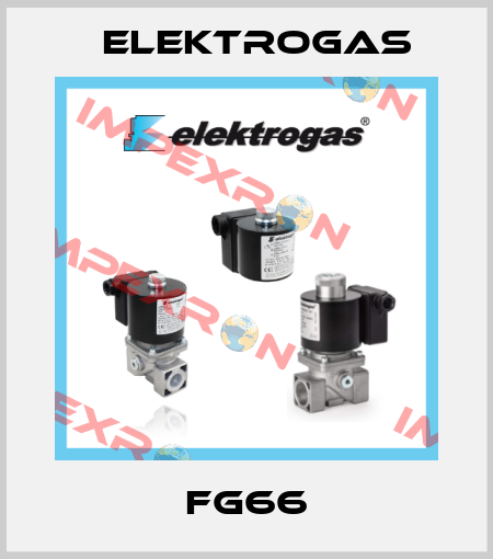 FG66 Elektrogas