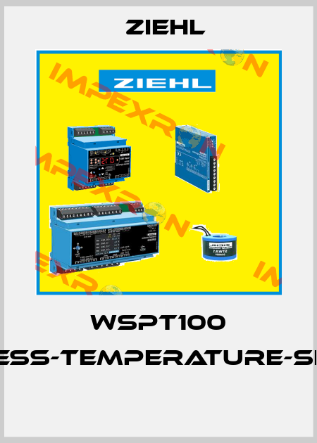 WSPT100 WIRELESS-TEMPERATURE-SENSOR  Ziehl