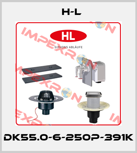 DK55.0-6-250P-391K H-L