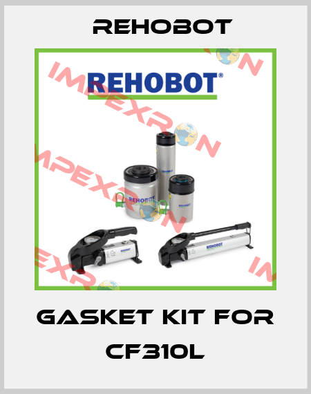 Gasket kit for CF310L Rehobot
