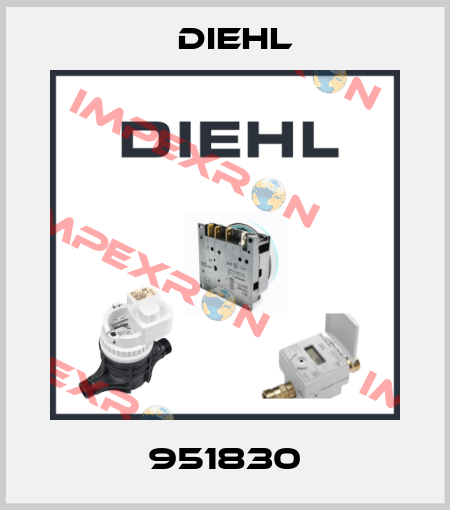 951830 Diehl