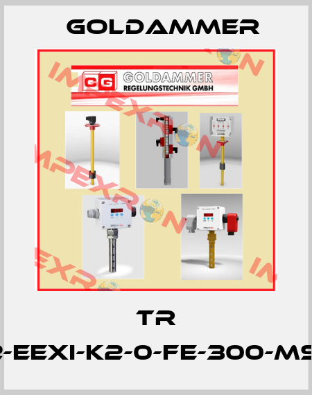 TR 12-EExi-K2-0-FE-300-MS-I Goldammer