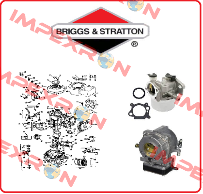 597128 Briggs-Stratton