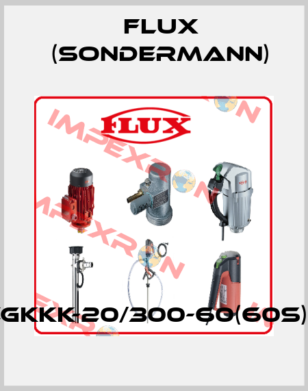 RM-PP-EGKKK-20/300-60(60S)-1,5/3-IE2 Flux (Sondermann)