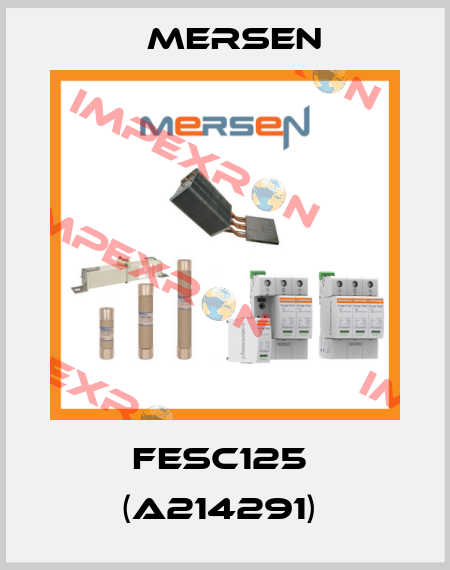 FESC125  (A214291)  Mersen