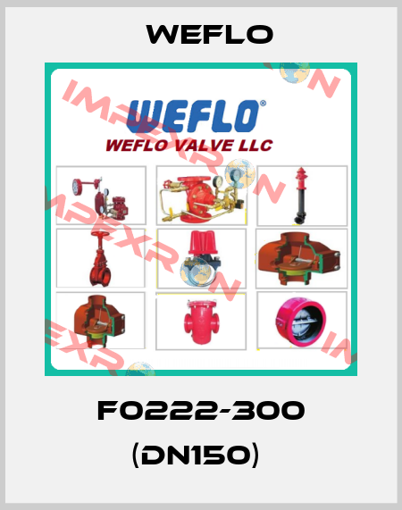 F0222-300 (DN150)  Weflo