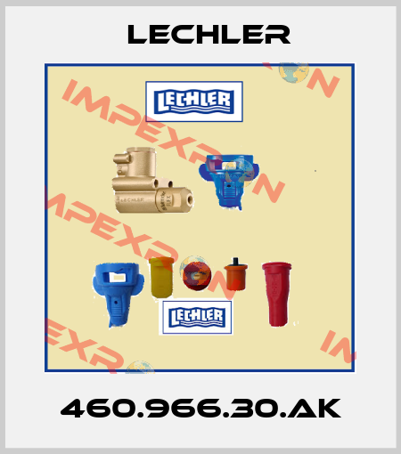 460.966.30.AK Lechler