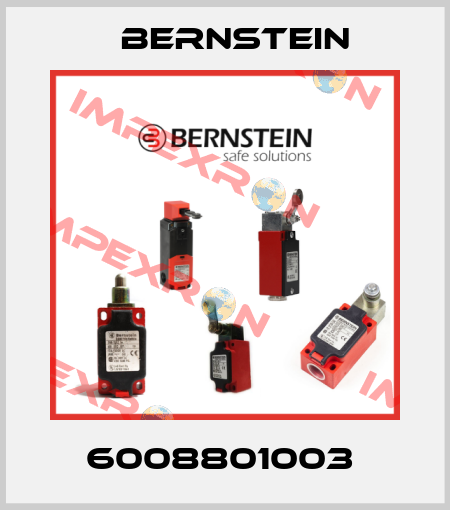6008801003  Bernstein