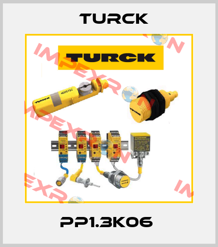 PP1.3K06  Turck
