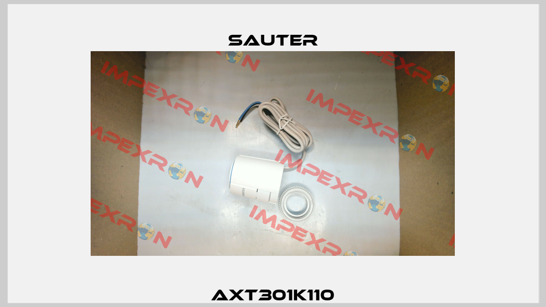 AXT301K110 Sauter