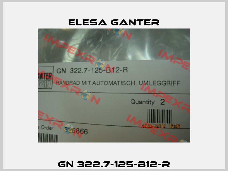 GN 322.7-125-B12-R Elesa Ganter