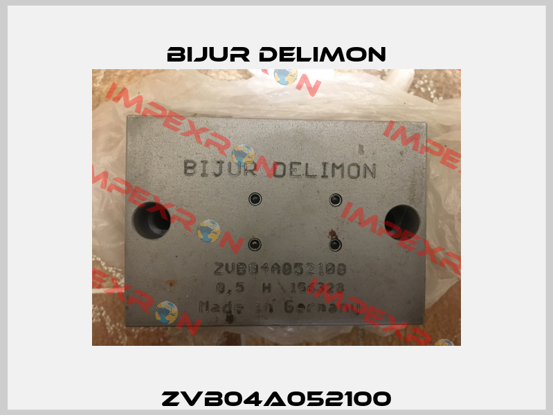 ZVB04A052100 Bijur Delimon