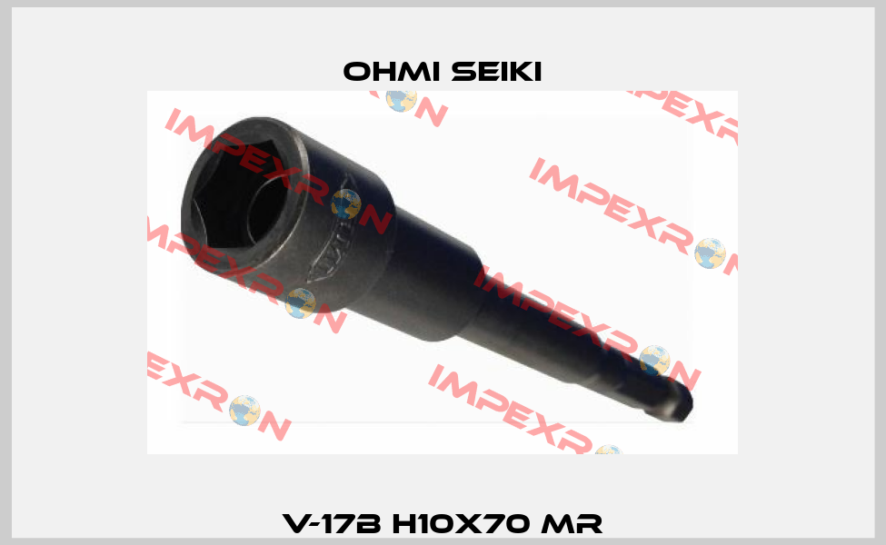V-17B H10X70 MR Ohmi Seiki